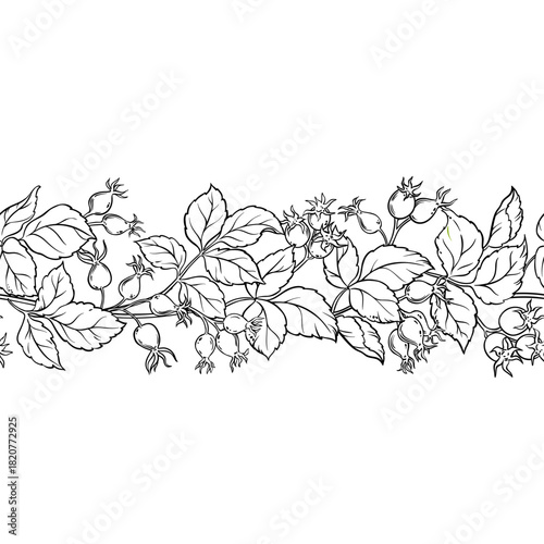 Wild Rose Branch with Berries and Leaves Outline Horizontal Seamless Pattern. Vector isolated for design or decoration.