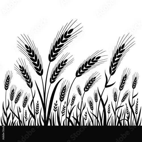 Black and white silhouette of a field of wheat stalks