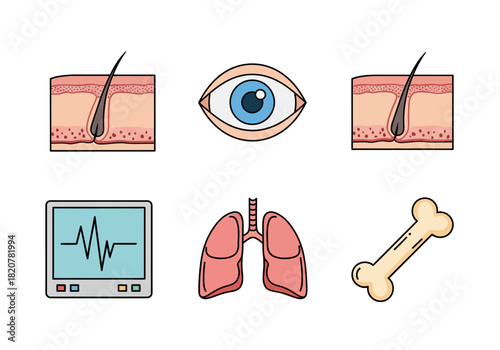 Medical Icons Set: Skin Eye Monitor Lungs Bone Illustrations.