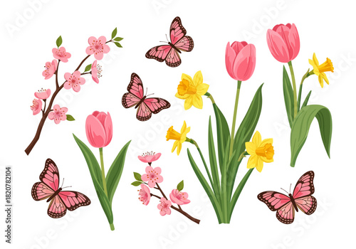 Spring Flowers and Butterflies Illustration with Tulips Daffodils and Cherry Blossoms.