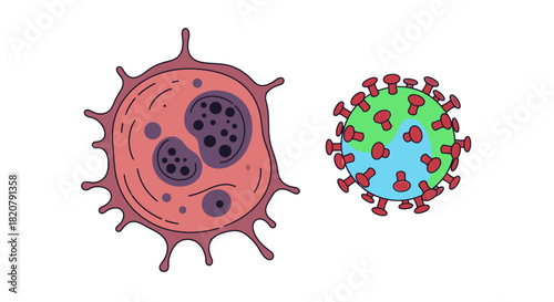 Microscopic view of a leukocyte and a coronavirus particle, scientific illustration