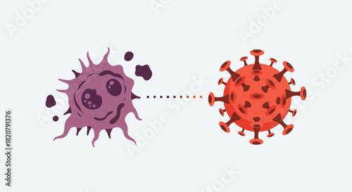 Vector illustration depicting a pathogenic red virus causing damage to a purple host cell, symbolizing infection and disease process