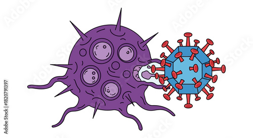 Medical illustration of an immune cell, such as a macrophage or dendritic cell, attacking a viral pathogen on a white background