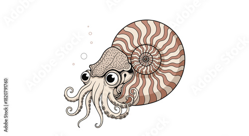 A cute cartoon nautilus with big eyes and a spiral shell swims playfully underwater, rendered in a charming illustration style.