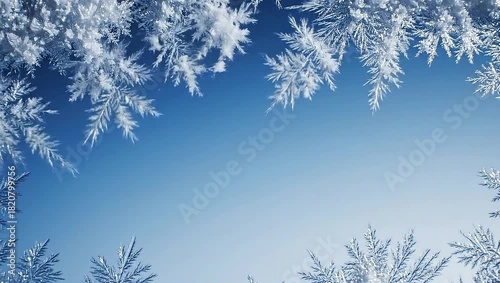 Snow-covered branches frame a clear blue sky, creating a serene winter backdrop.