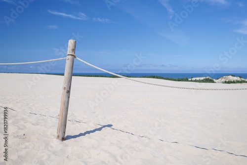 Fototapeta Naklejka Na Ścianę i Meble -  Fencing of the dune area. A protective barrier constructed of a round wooden post and ropes. Designating a no-cross zone. Dunes. Baltic Sea. Leba, Poland.