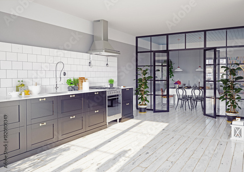 Fotografie modern kitchen interior.