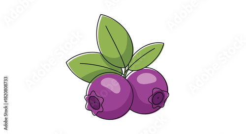 A charming digital drawing of two plump, purple blueberries with bright green leaves, symbolizing fresh, natural produce.