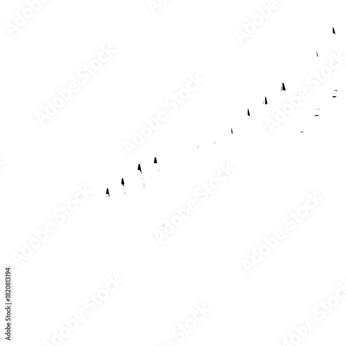 Minimalist flock of birds flying in formation vector illustration for graphic design and backgrounds use cases