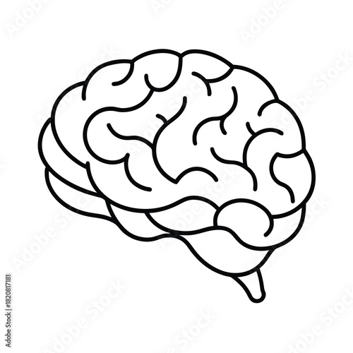 Medical vector illustration of the human brain anatomy, symbolizing intelligence, mind, and cerebral health