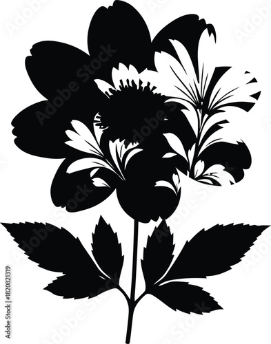 black and white flower