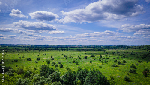 Wallpaper Mural Aerial photo of green wildlife in summer Torontodigital.ca