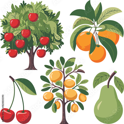 Red apple tree oranges on branches cherries and green pear fruit