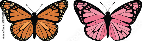 Two stylized monarch butterflies one orange and one pink on white background butterfly insect