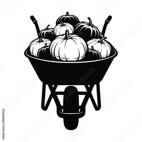 pumpkin on a white background