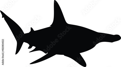Hammerhead shark silhouette underwater marine life ocean creature vector