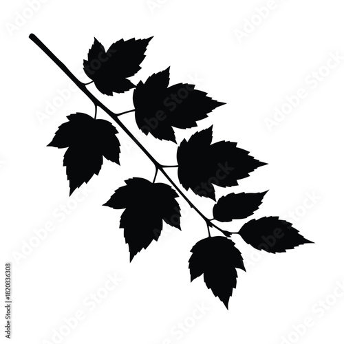 maple leaf silhouette