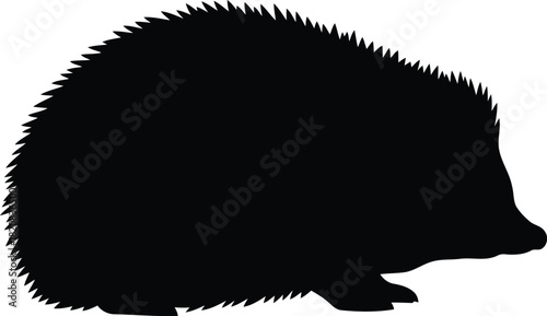 Silhouette hedgehog wildlife nature animal silhouette profile vector
