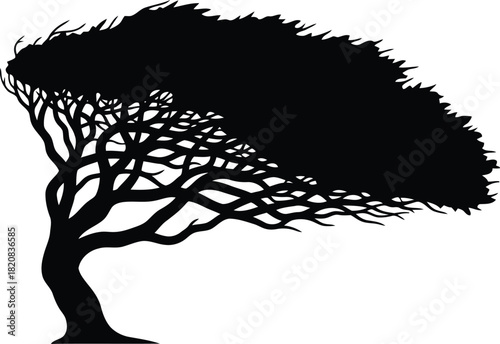 Silhouetted windblown acacia tree majestic african landscape graphic vector