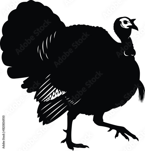 turkey vector illustration