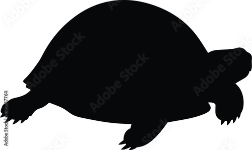 Silhouette of a tortoise walking isolated on a vector graphic vector