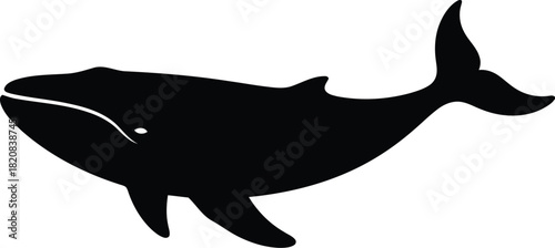 Majestic whale silhouette ocean marine life aquatic mammal vector
