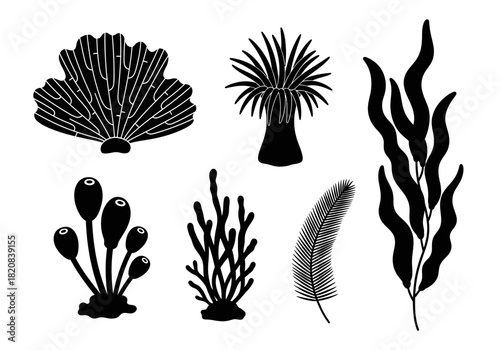 silhouette of seaweed