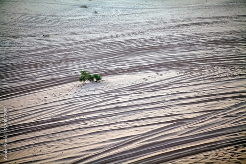 Wadi Rum landscape, Jordan