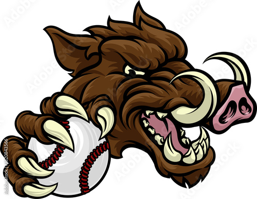 A wild boar, hog razorback ...