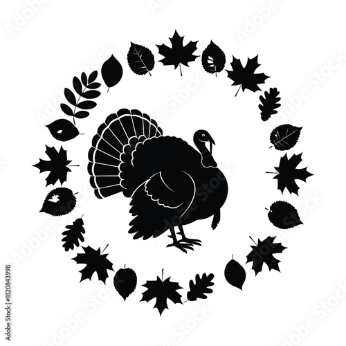 turkey vector