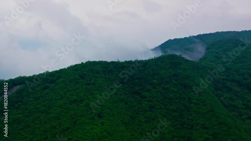 Aerial drone view of lush green mountain ridge covered in dense forest vegetation. Overcast nature landscape.