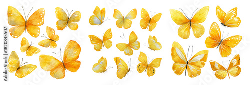 Collection of isolated watercolor butterflies in yellow shades. Bright floral butterflies. Summer and spring romantic elements. Perfect for spring and summer card design.