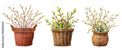 Watercolor set of wicker baskets with a bouquet of spring willow branches. Natural symbols of Easter. Basket with willow for Palm Sunday, Easter and spring designs. Happy Easter.