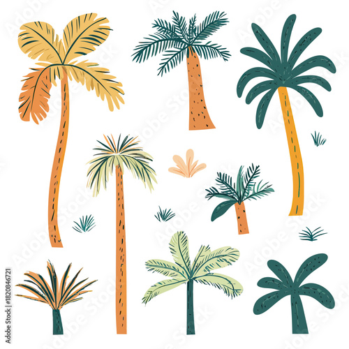 Hand drawn colorful tropical palm trees collection with various leaf shapes and simple textured flat minimalist vector style illustrations for summer and beach design