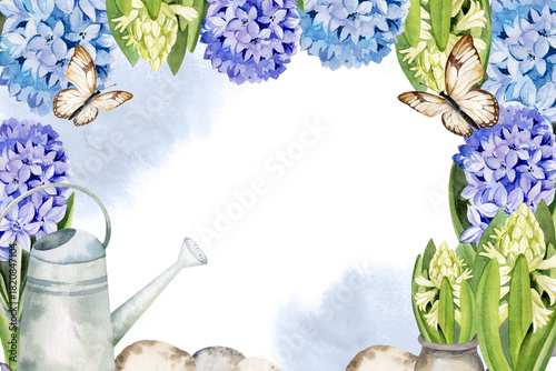 Obraz na plátně blue and white fresh hyacinths, garden watering can, flying butterflies, hand dr
