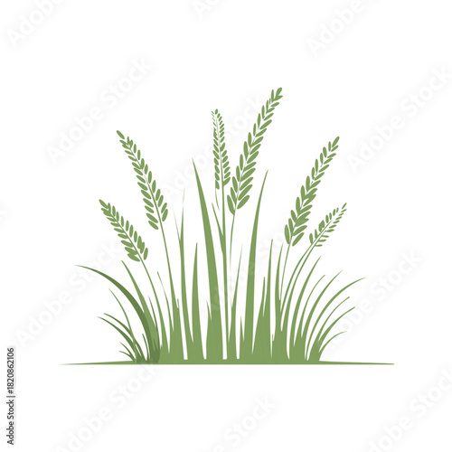 Stylized Green Grass and Wheat Illustration for Summer or Spring Decoration