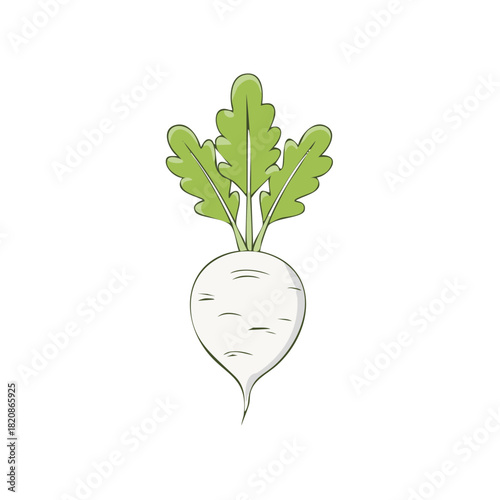 Stylized White Turnip Vegetable with Green Leaves Artistic Rendition Root Vegetable Illustration