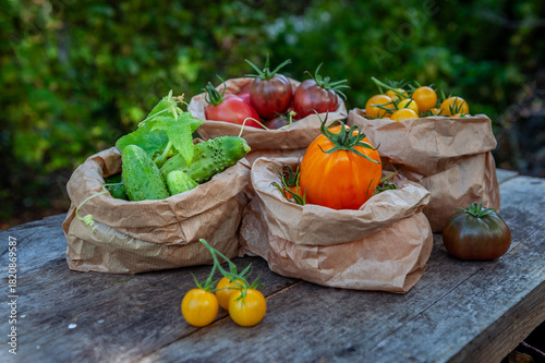 Seasonal ripe tomatoes and cucumbers collected from garden sorted by types in eco paper bags rustic table. Local organic produce. Vegetarian food. Fresh harvest.