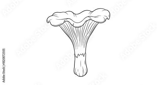An outline illustration of a mushroom.