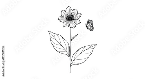 A delicate black and white line drawing of a single stemmed flower with a small butterfly fluttering nearby on a white background.