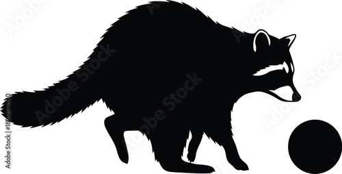 Raccoon silhouette playing with ball