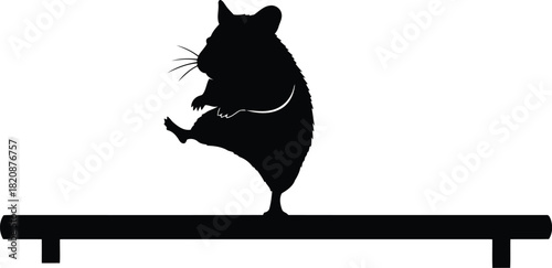 Cute hamster silhouette balancing on beam