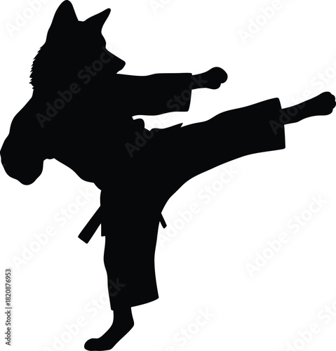 Silhouette martial arts fighter kicking