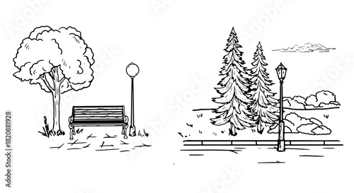 A tree and a bench, next to a lantern, Christmas trees and a club on the lawn of the park, a sketch. A set of isolated compositions on a white background. Alley of the city park. Vector illustration.