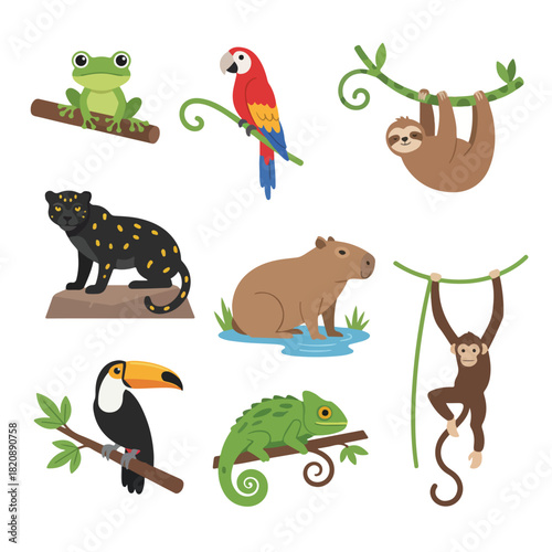 Vector set of 8 Flat vector Rainforest Animals	 illustration flat design simple and minimalis style cartoon white background. 