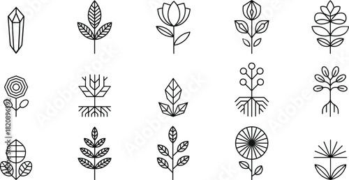 Black line art botanical and crystal icons