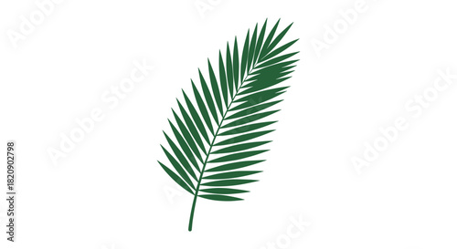 Simple and elegant green silhouette of a tropical palm leaf isolated on a white background for summer and botanical designs.