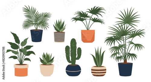 Collection of various popular indoor houseplants in stylish ceramic pots including monstera snake plant and cactus vector icons.