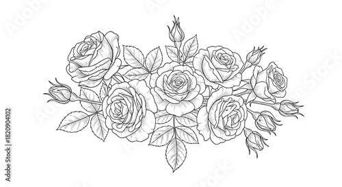 Beautiful hand-drawn bouquet of blooming roses with leaves and buds in an elegant black and white vintage floral sketch style.