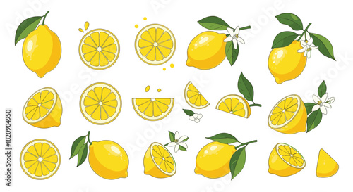 Large collection of fresh yellow lemon illustrations including whole fruits slices and branches with leaves and white blossoms.